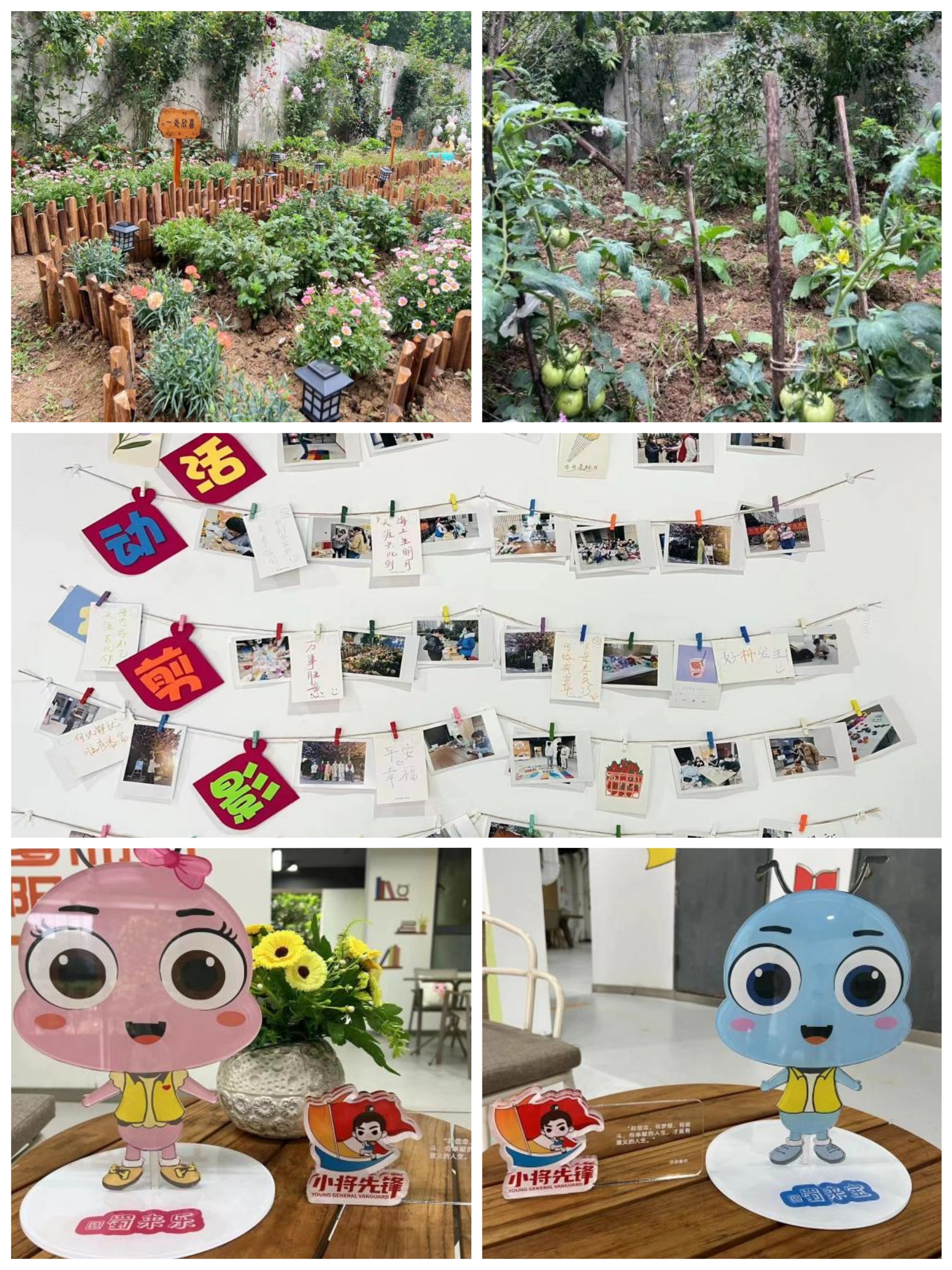 玩彩网·「中国区」官方网站